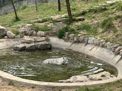 -石家庄市动物园