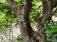 -黄埔油麻山森林公园