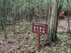 -都江堰中华大熊猫苑