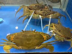 -德米火锅(深圳湾1号旗舰店)
