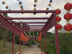 -松山湖梦幻百花洲