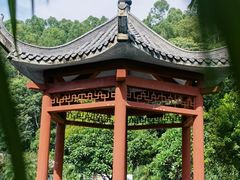 -广州神农草堂中医药博物馆