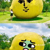 #悦岭南 宿佛山# 感谢市文广旅体局、同趣民宿提供的