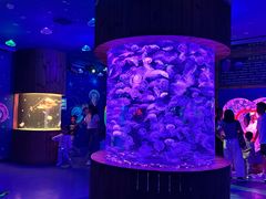 -多彩贵州城极地海洋世界