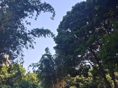 -成都市活水公园