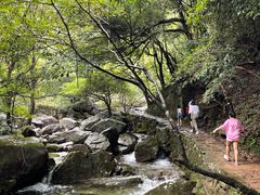 -白云源风景区