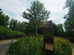 -翠湖国家城市湿地公园