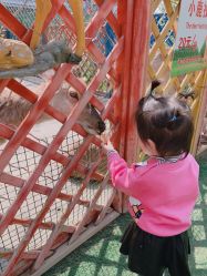 -萌宠亲子动物乐园(槐房万达店)