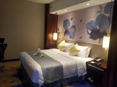 -常州环球恐龙城维景国际大酒店