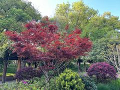 -徐家汇源景区-衡山公园