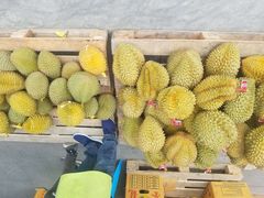 -海吉星市场