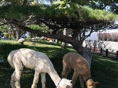 -东方时尚驾校摩托车考试场