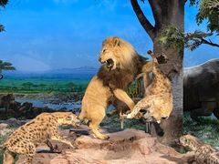 -国家自然博物馆