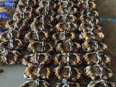 -百富源·海鲜辽菜(张士店)