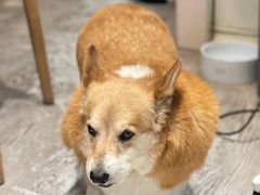 -小时光咖啡馆(北锣鼓巷店)