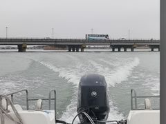-南湖湿地公园