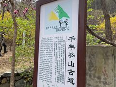 -北京鹫峰国家森林公园