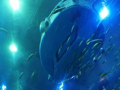 -成都浩海立方海洋公园