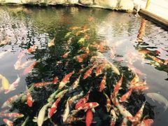 -湖鲜楼