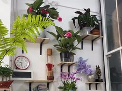 -FEI FEI FLOWER鲜花店·气球派对·宝宝宴布置(虹口德必运动Loft店)