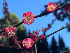 -莘庄公园