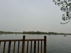 -石家庄市植物园
