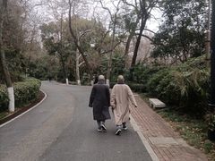 -北极阁公园