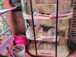 -青木造型HAIR·あおき髪を刈る潮人店