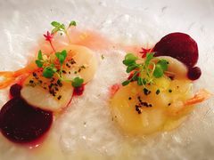 -蝶舍·MAISON PAPILLON