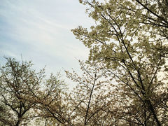 iphone_upload_pic-南京国际会议大酒店