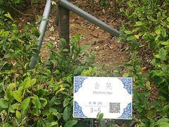 -纪念孙中山市政公园
