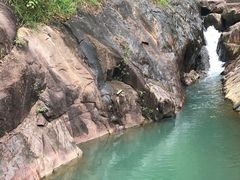 -广州白江湖森林公园