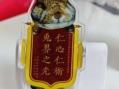 -北京观赏动物医院·24小时大型综合·猫专科·异宠专科