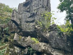 -山王坪喀斯特国家生态公园