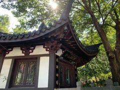 -上海佘山国家森林公园西佘山园