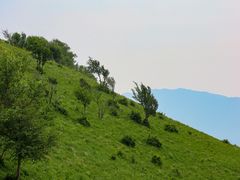 -灵山
