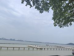 -放鹰台遗址