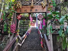 -西双版纳原始森林公园