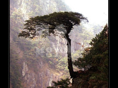 景点-大明山自然探索公园
