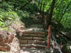 -五女峰国家森林公园