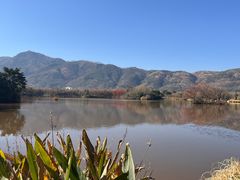 -西昌邛海湿地