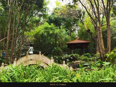 -深圳国际园林花卉博览园