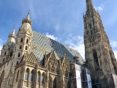 -斯蒂芬主教座堂(Stephansdom)