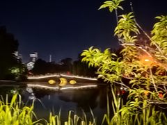 -桃花岛公园