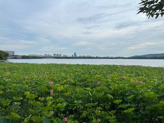 -石湖景区