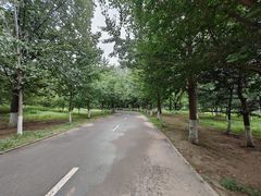 -长白岛森林公园