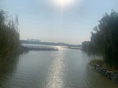 -大兴滨河森林公园