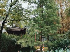 -重庆彩云湖湿地公园