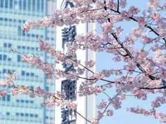 -龙美术馆(西岸馆)