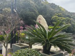 -桃花岛风景旅游区